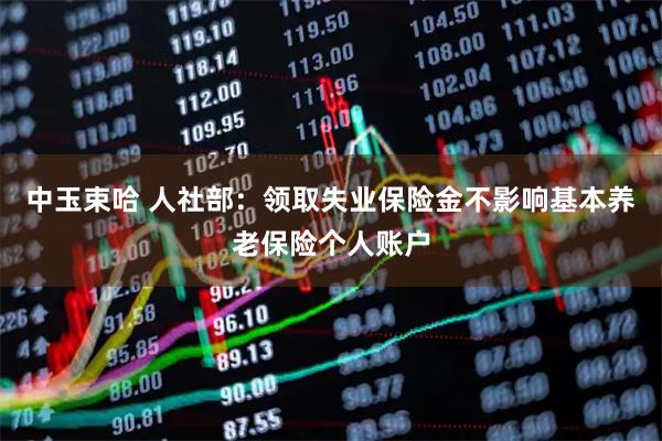 中玉束哈 人社部：领取失业保险金不影响基本养老保险个人账户