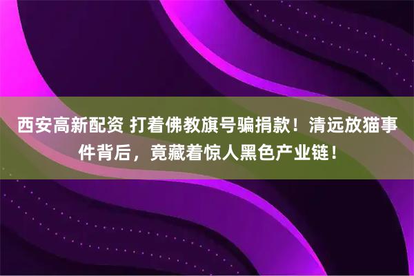 西安高新配资 打着佛教旗号骗捐款!清远放猫事件背后,竟藏着惊人黑色产业链!