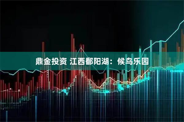鼎金投资 江西鄱阳湖：候鸟乐园