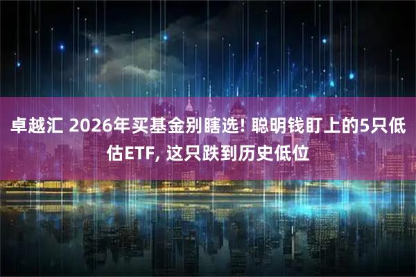卓越汇 2026年买基金别瞎选! 聪明钱盯上的5只低估ETF, 这只跌到历史低位