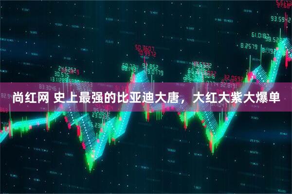 尚红网 史上最强的比亚迪大唐，大红大紫大爆单